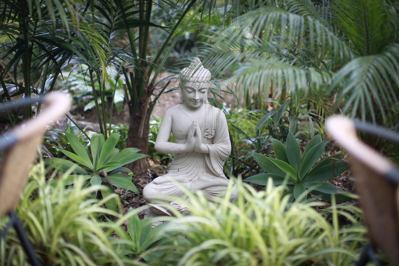 棕榈海滩住宿加早餐旅馆 棕榈滩 外观 照片